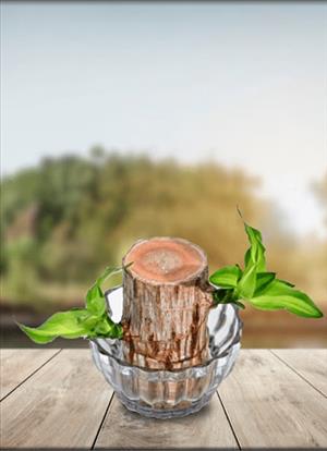 Brazillian Lucky Wood 